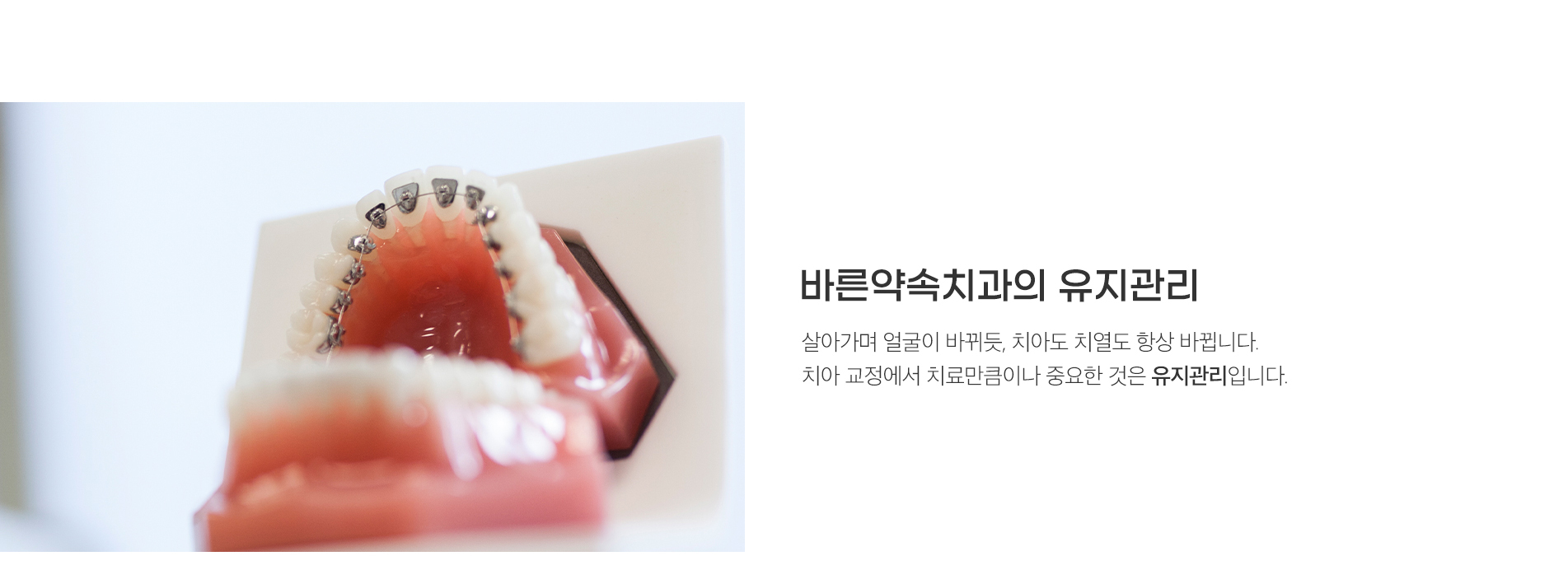 바른약속치과의 유지관리